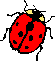 Ladybug1.wmf (3494 bytes)